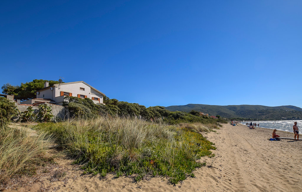 ����� � ���� � ������� �� ����, � ������