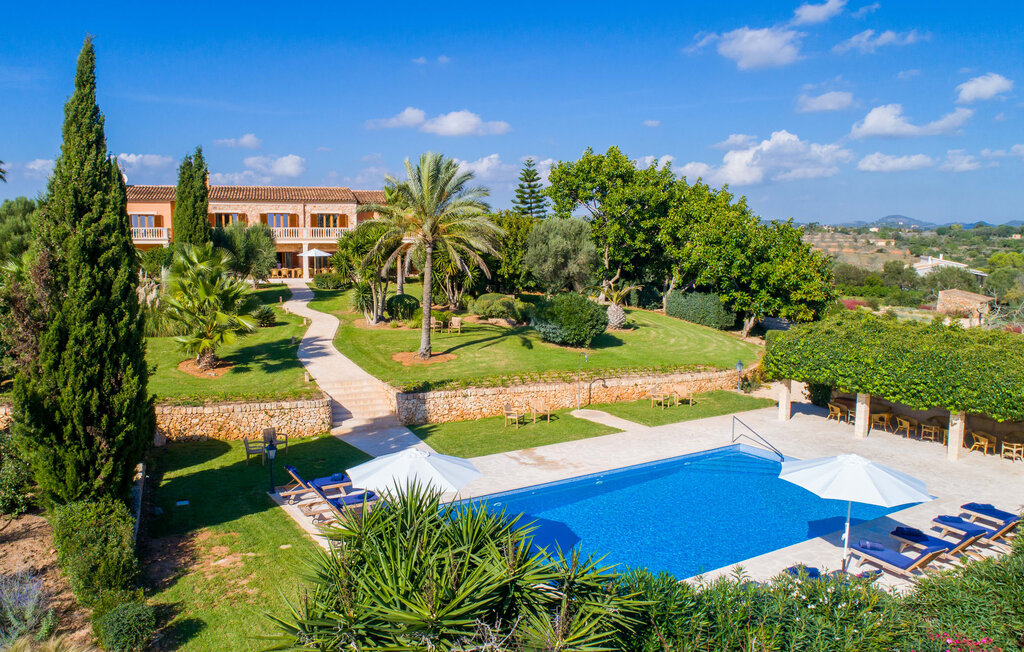 ������������ � �������: �����, ��� �� ������� �9387