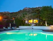 ������������: ������, �������� �����, ��� �5919