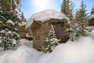 Недвижимость: Франция, Горнолыжные курорты шале №6633