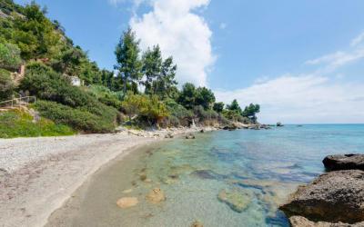  ������  � ������ |  ����� � ������ |  � ������ | ������ � ������